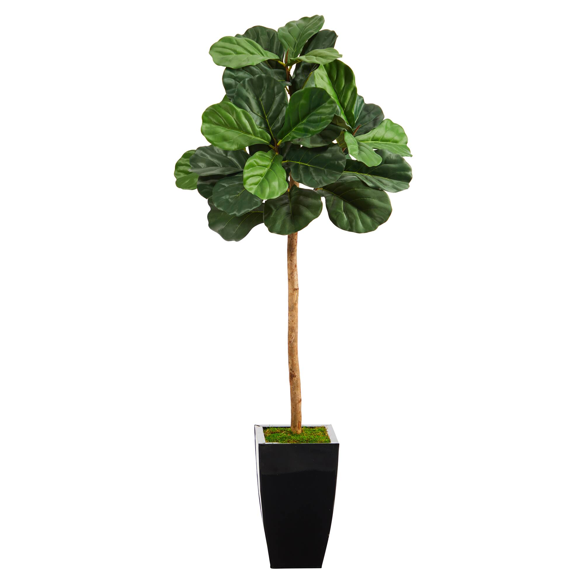 4ft. Fiddle Leaf Artificial Tree in Black Metal Planter